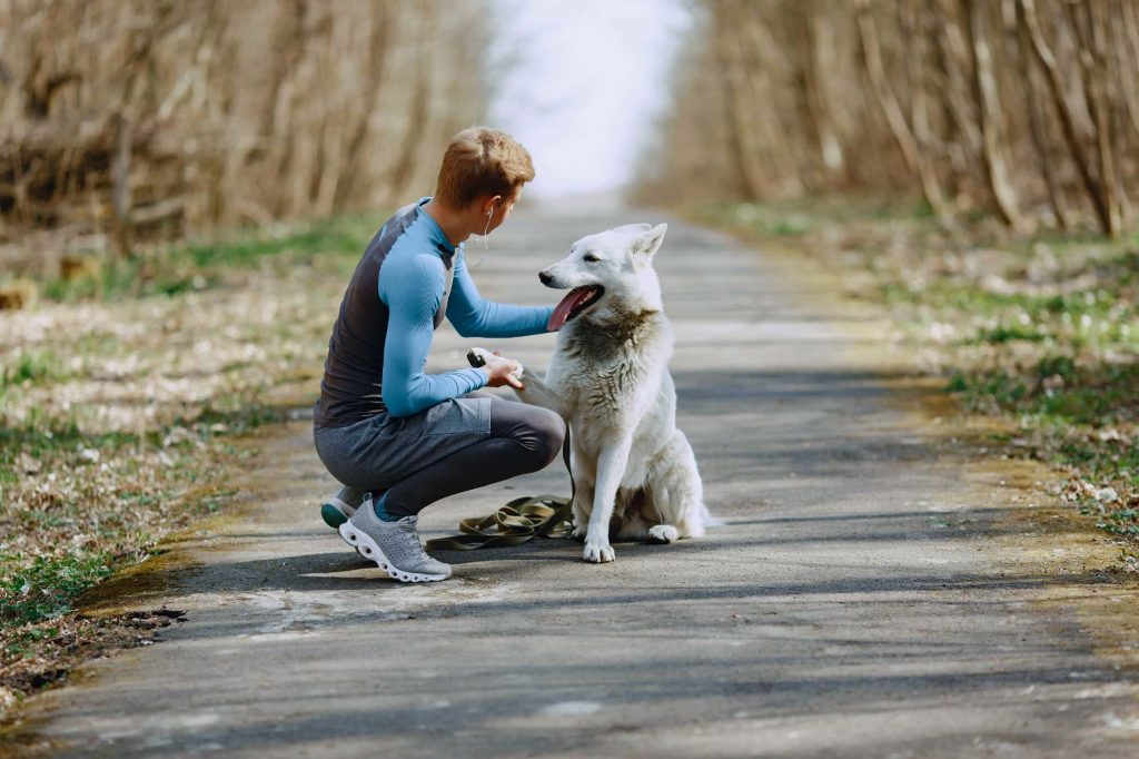 Boy holding a dog's paw